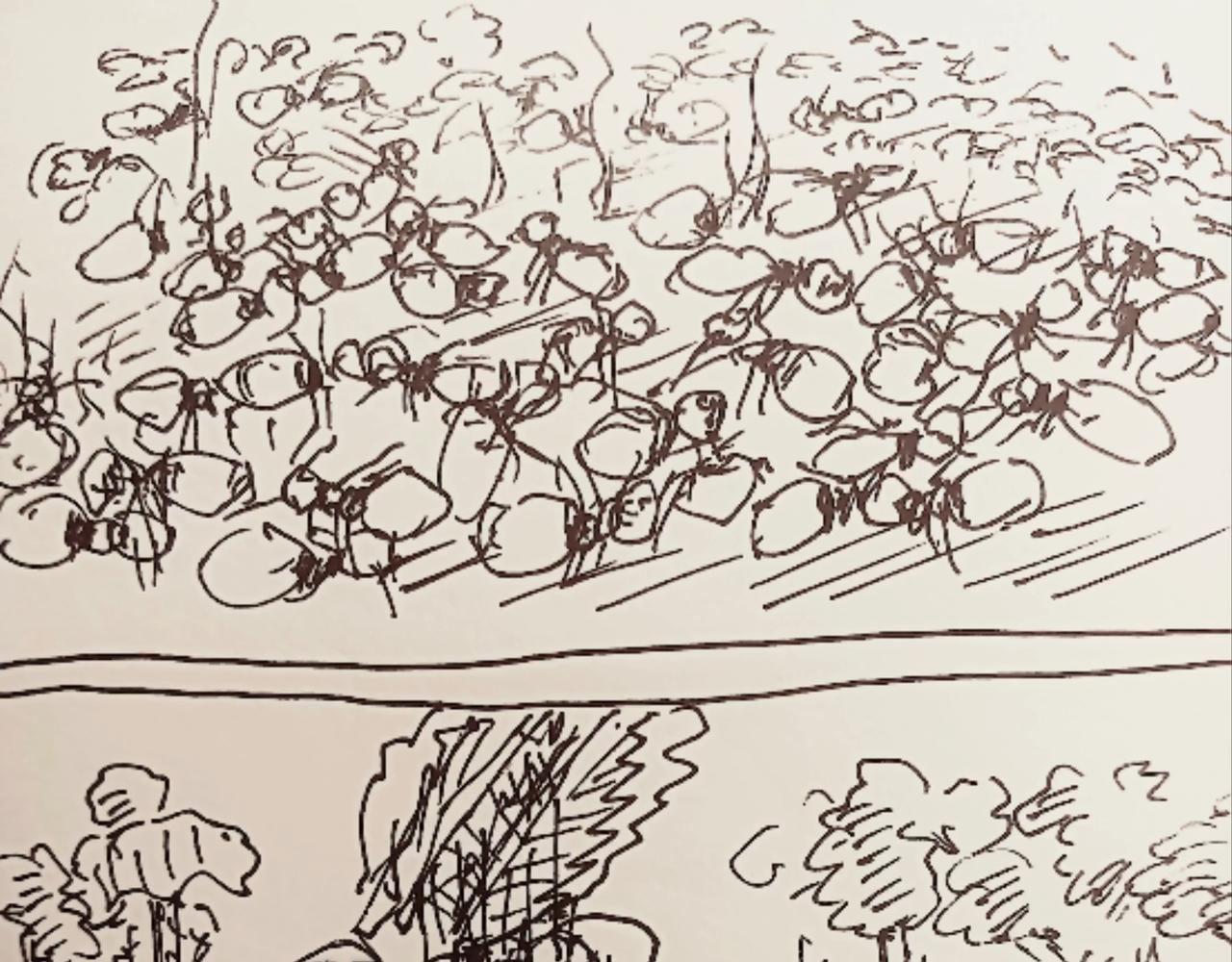 无毛鸡的愤怒-第12话