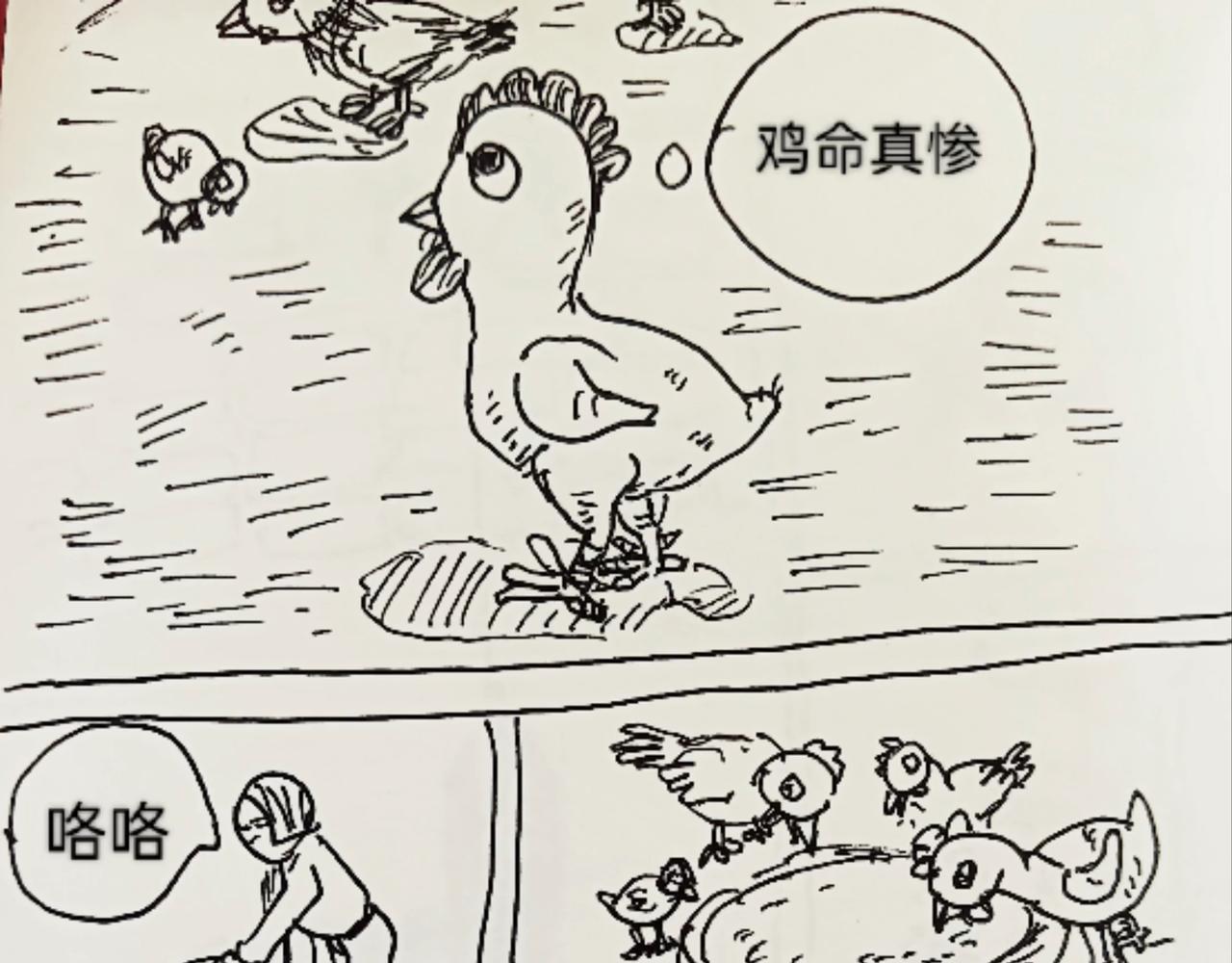 无毛鸡的愤怒-第12话