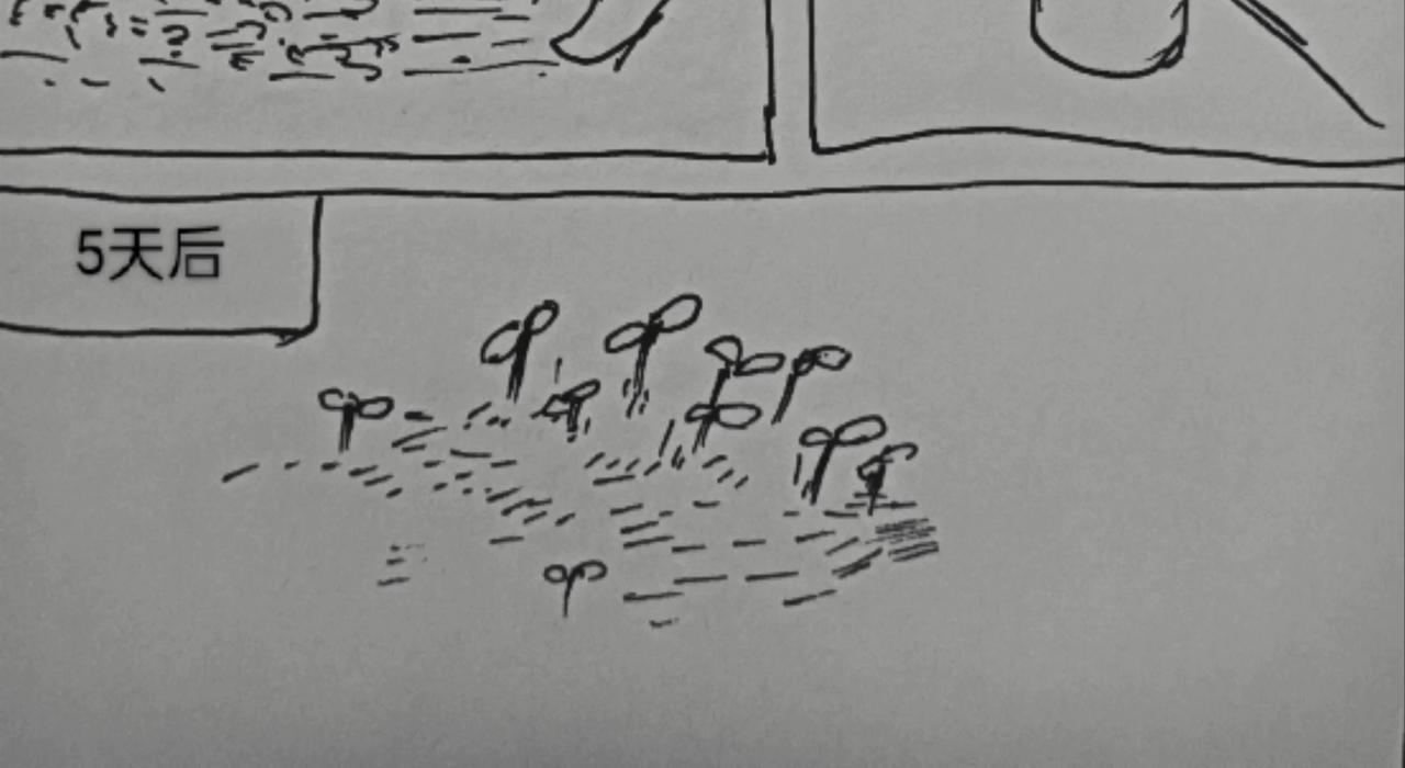 月球种子发芽-第24话