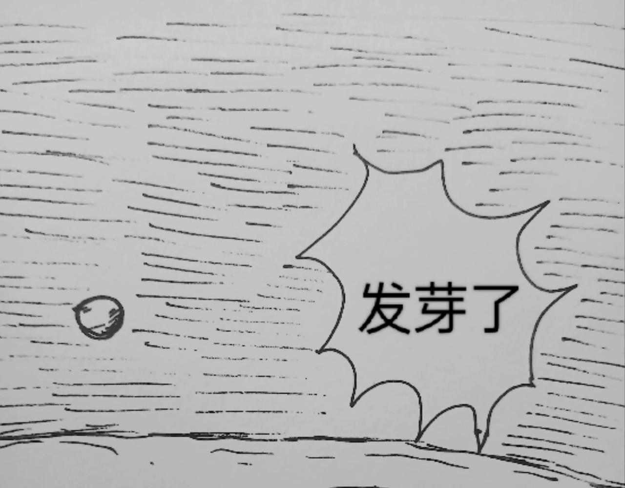 月球种子发芽-第24话