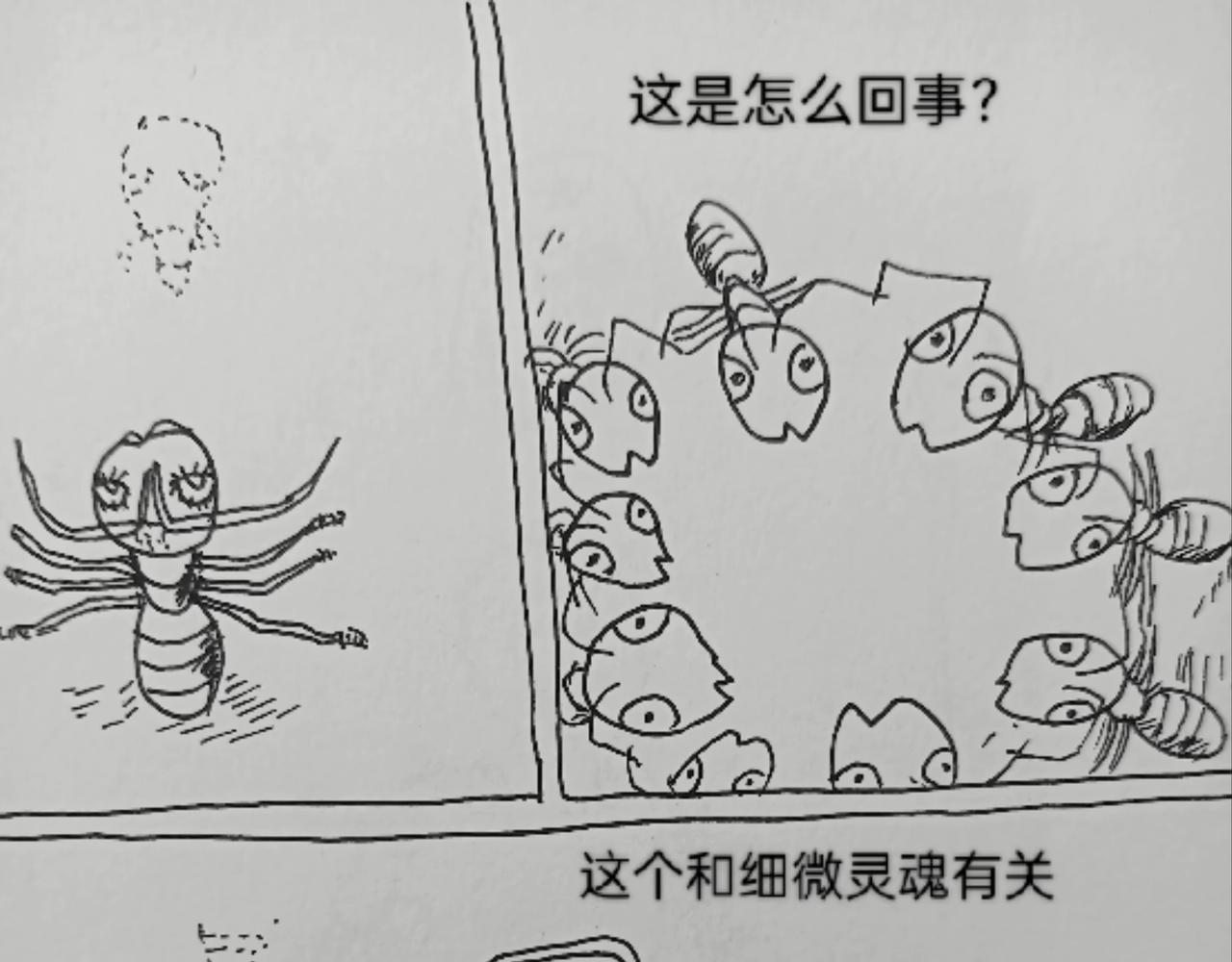 细微灵魂-第26话