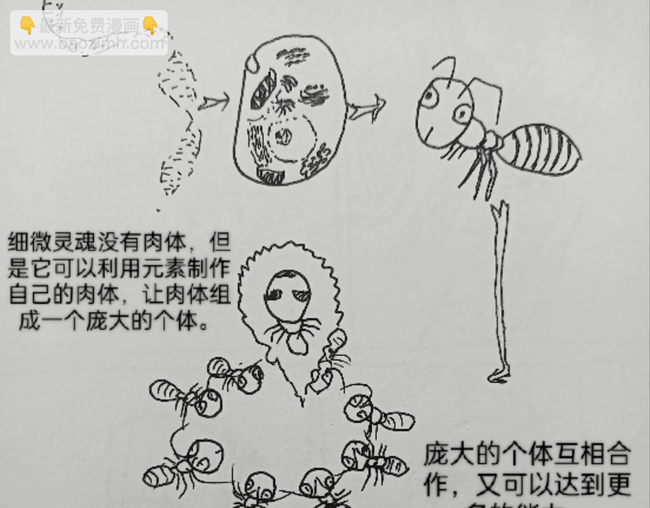 细微灵魂-第26话