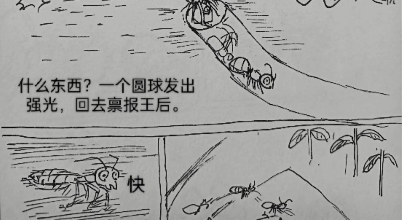 细微灵魂-第26话