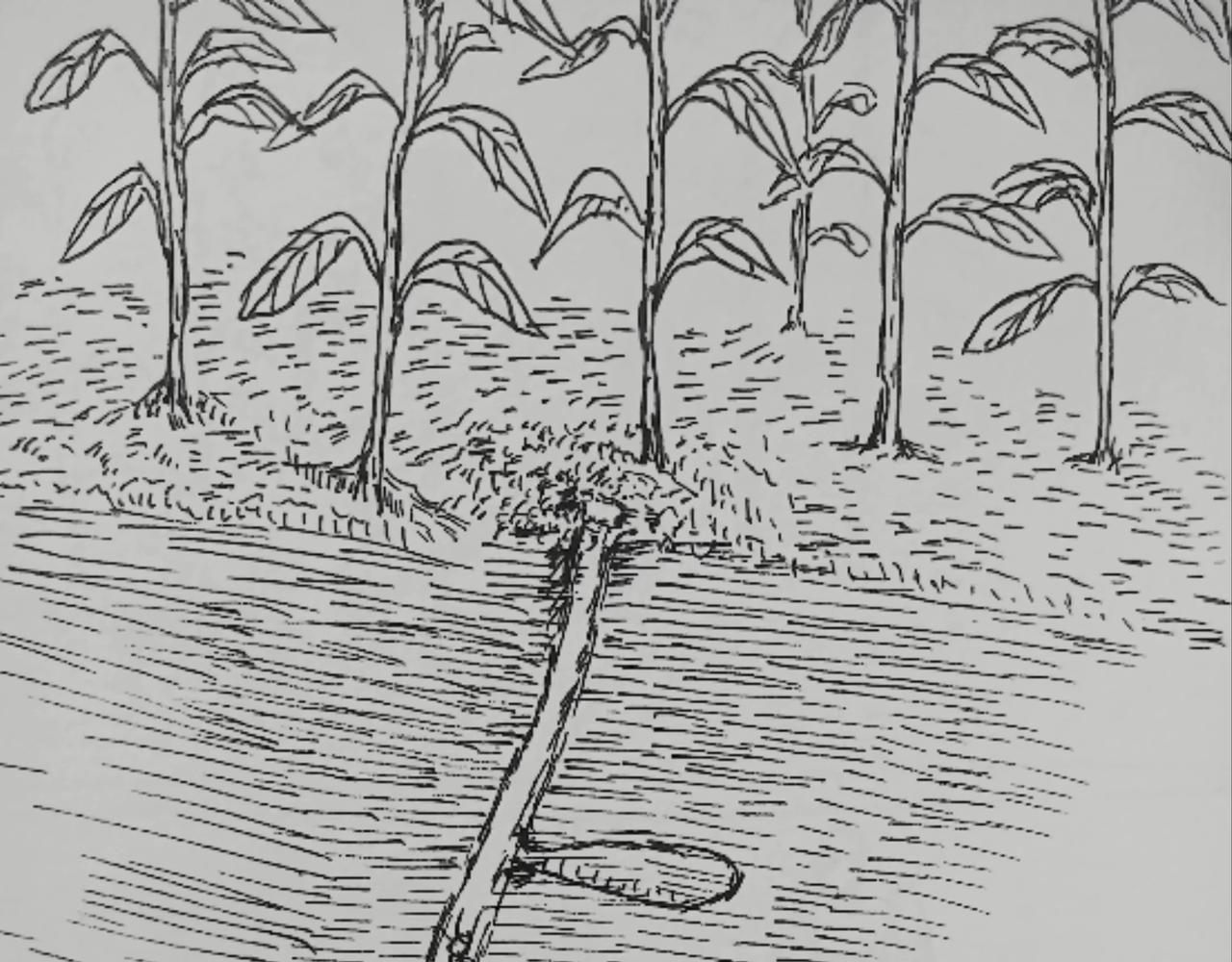 细微灵魂-第26话