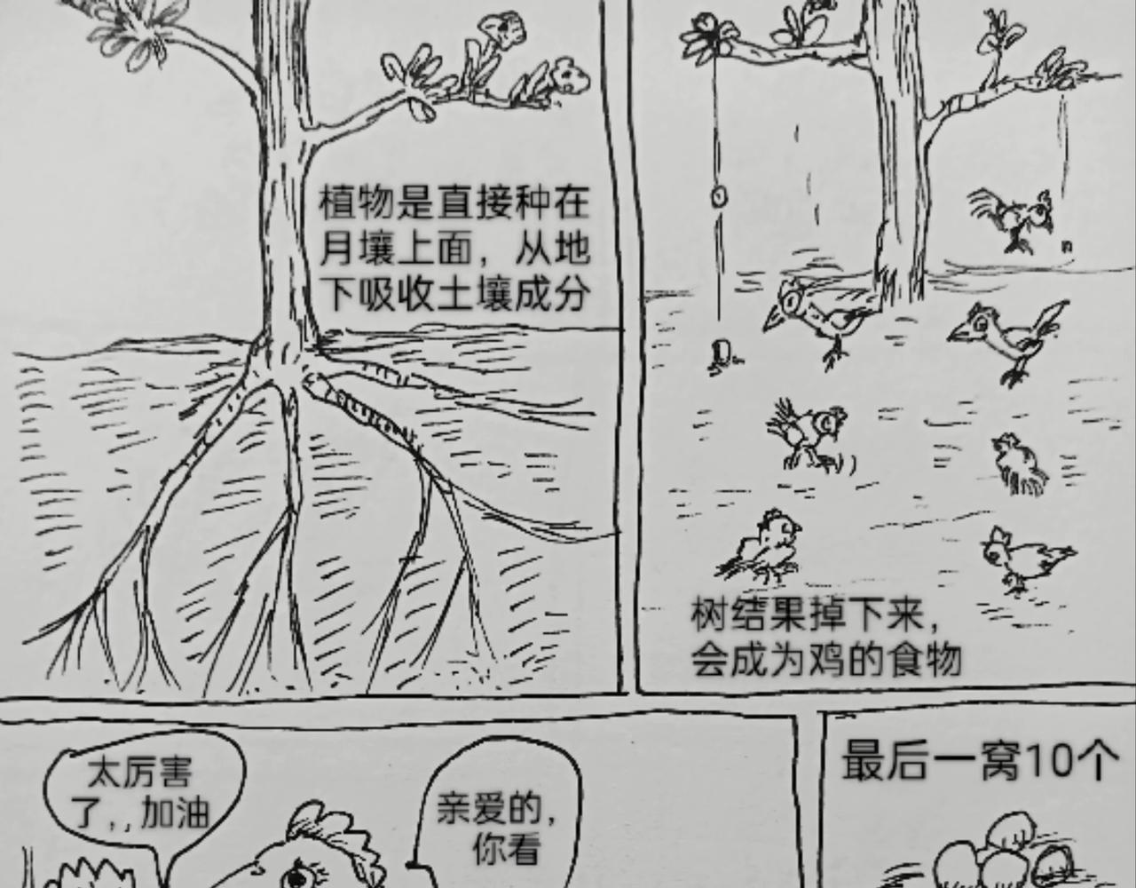 月球鸡蛋孵化-第28话