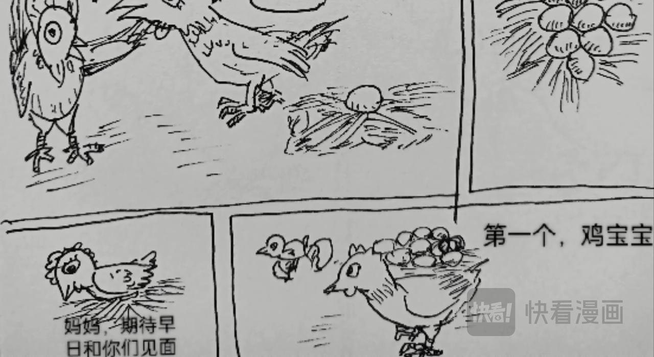 月球鸡蛋孵化-第28话