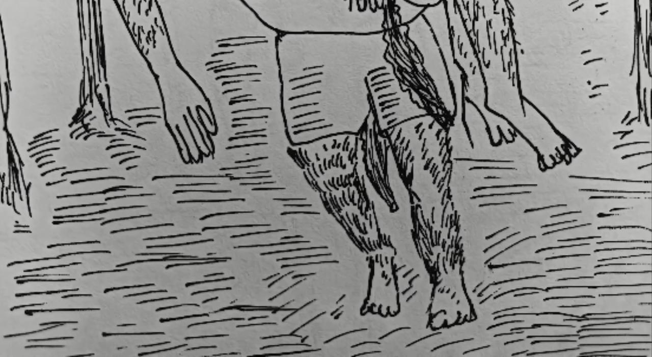 顺着箭头方向走-第40话