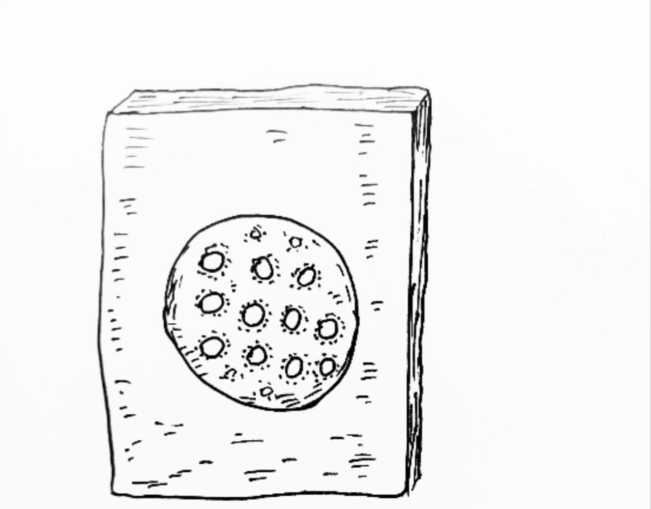 智慧之星-第36话