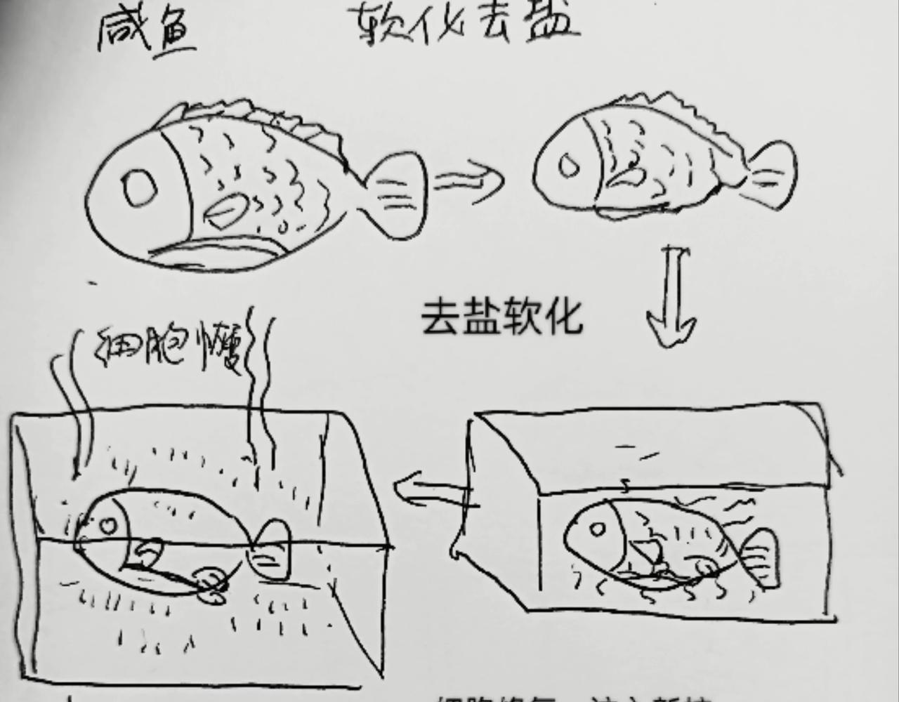 咸鱼翻生-第4话