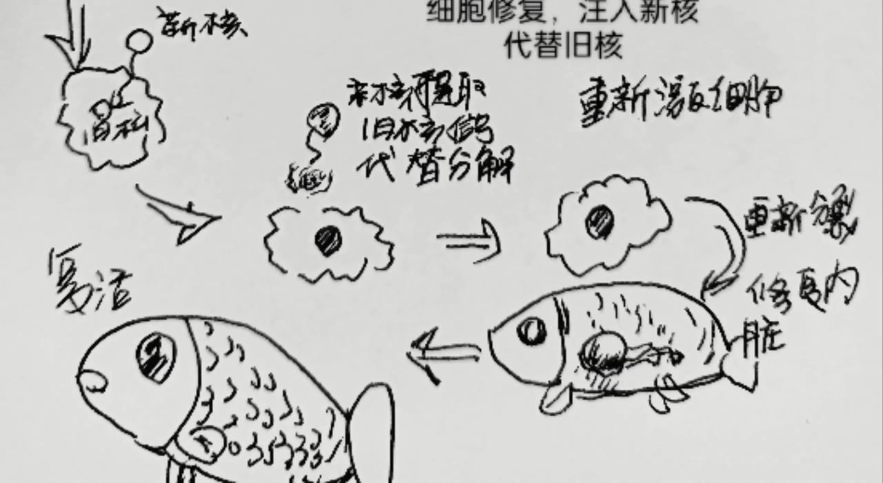 咸鱼翻生-第4话