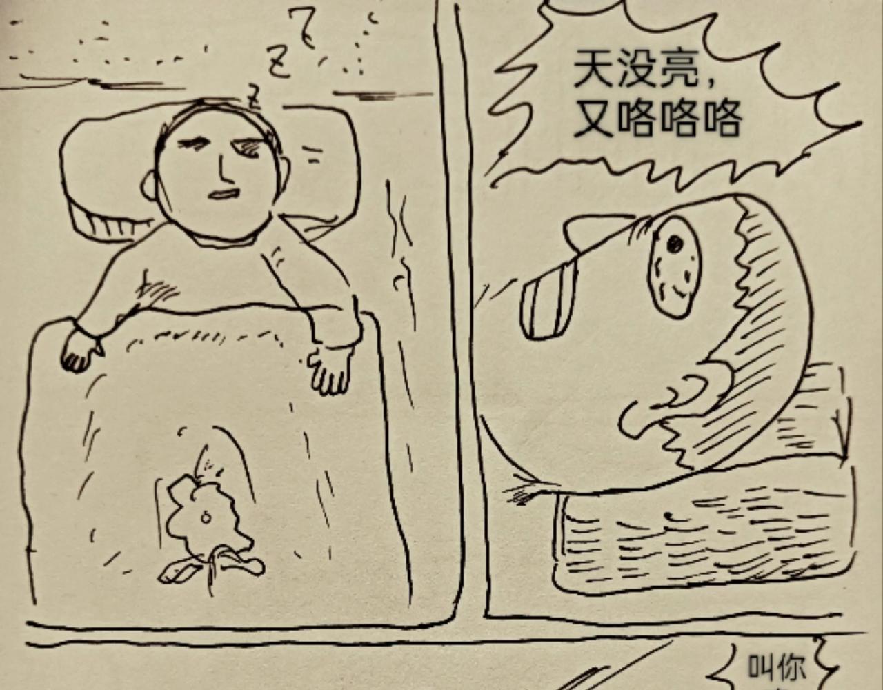 我是一只小小鸟-第8话