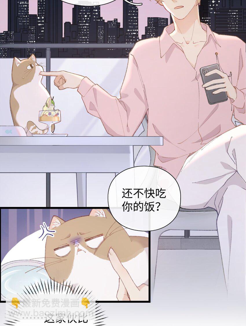 002 情侣养宠，多半分手(1/2)-第2话