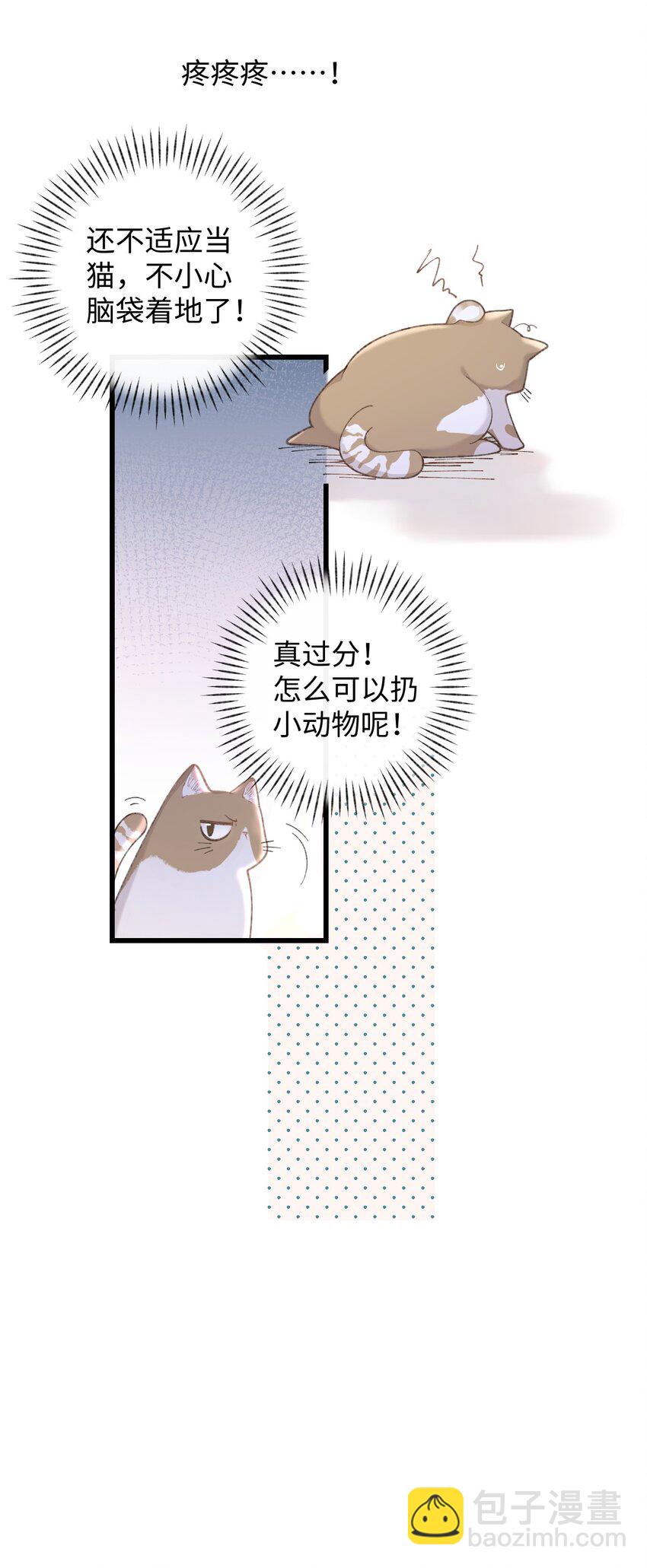 加菲猫复仇记 - 002 情侣养宠，多半分手(1/2) - 8