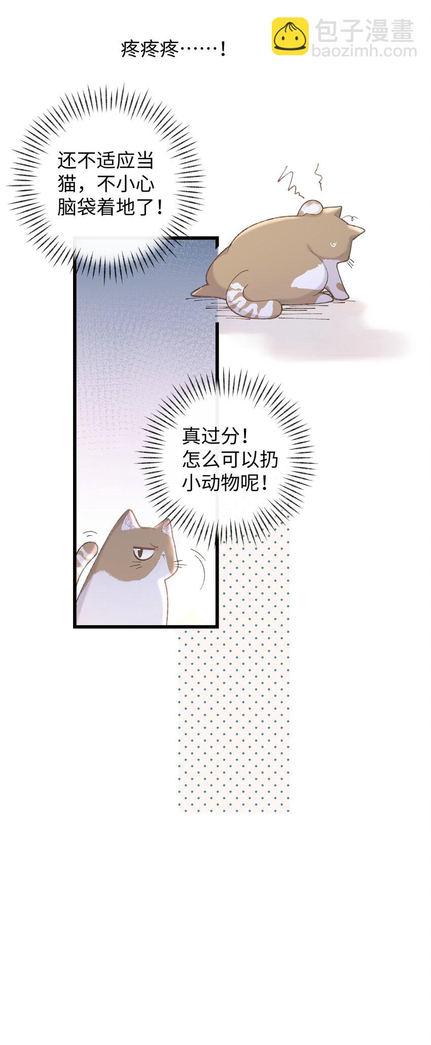 002 情侣养宠，多半分手(1/2)-第2话