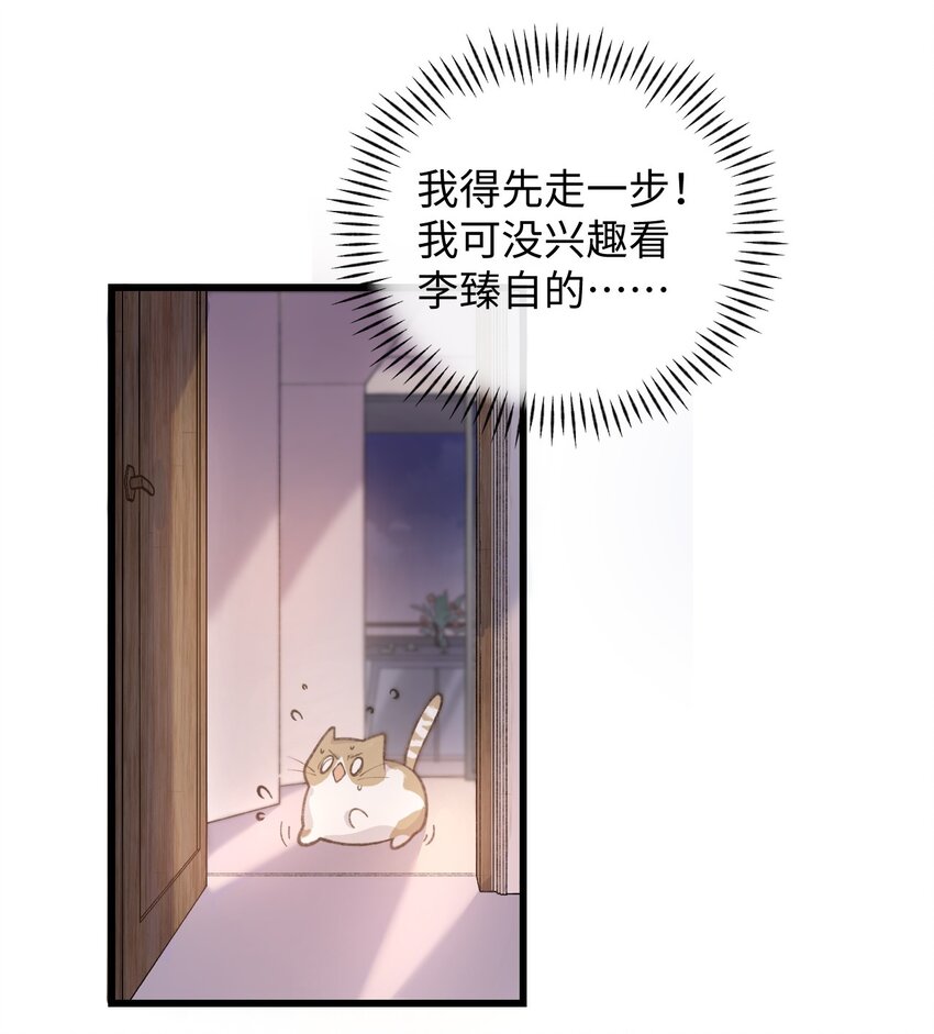 002 情侣养宠，多半分手(1/2)-第2话