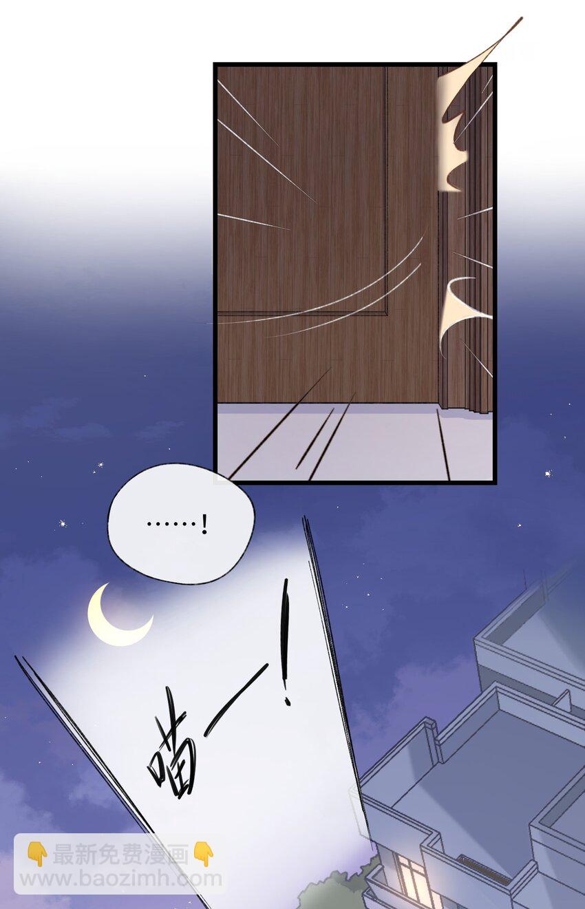 002 情侣养宠，多半分手(1/2)-第2话