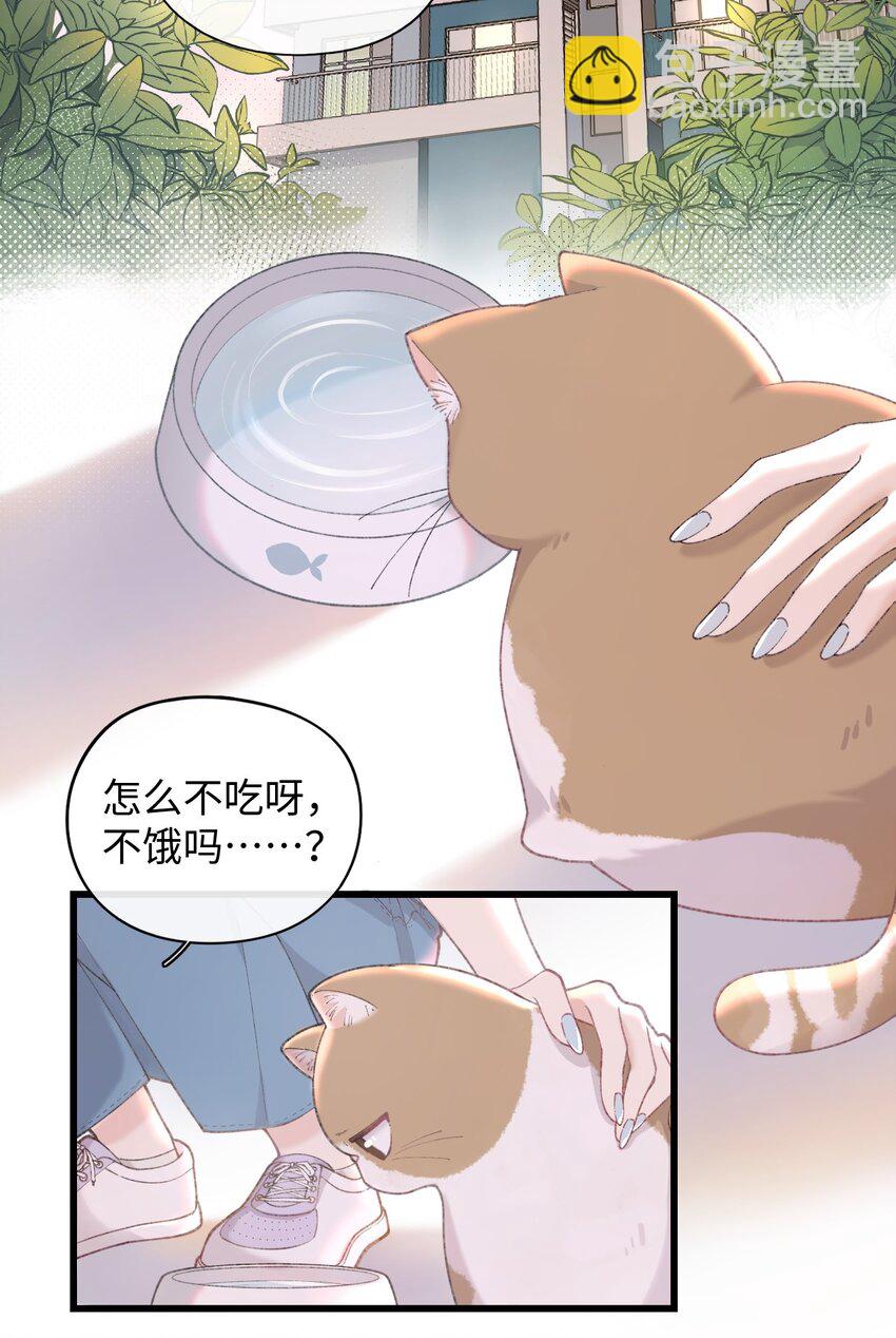 002 情侣养宠，多半分手(1/2)-第2话