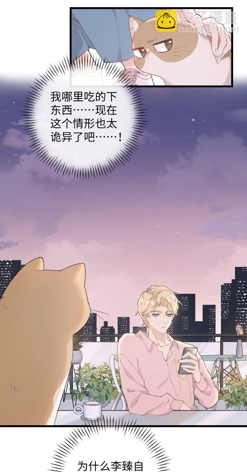 002 情侣养宠，多半分手(1/2)-第2话