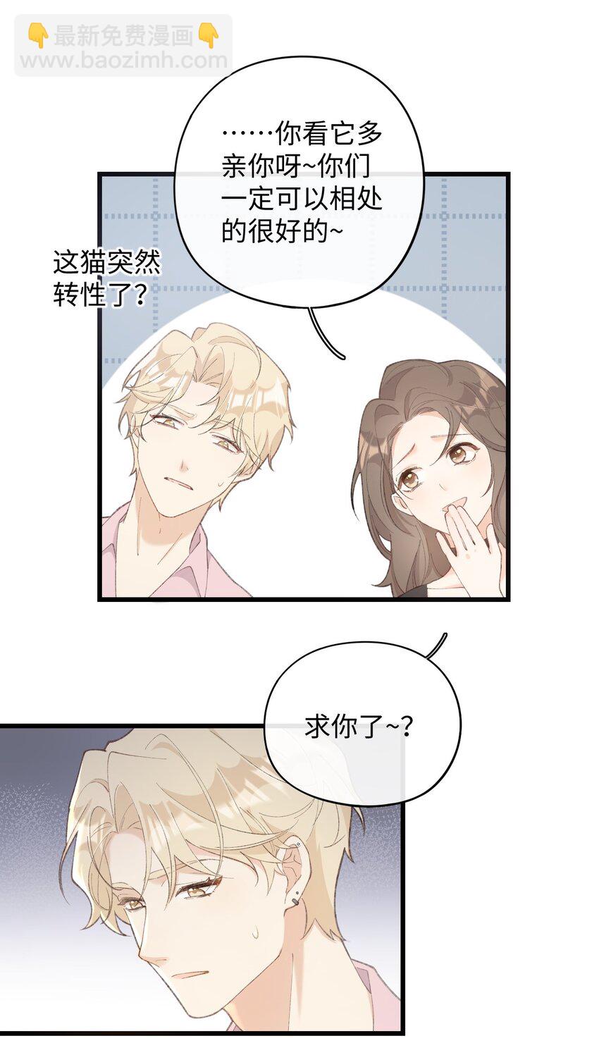 002 情侣养宠，多半分手(1/2)-第2话