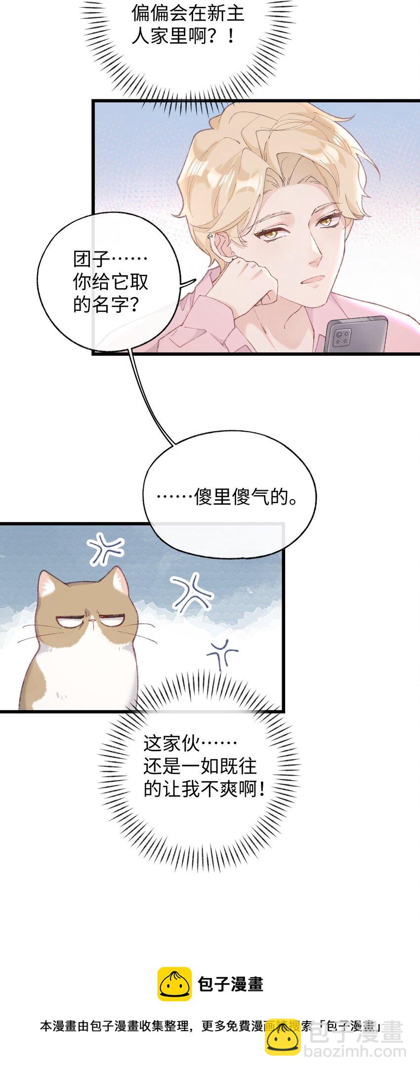 002 情侣养宠，多半分手(1/2)-第2话