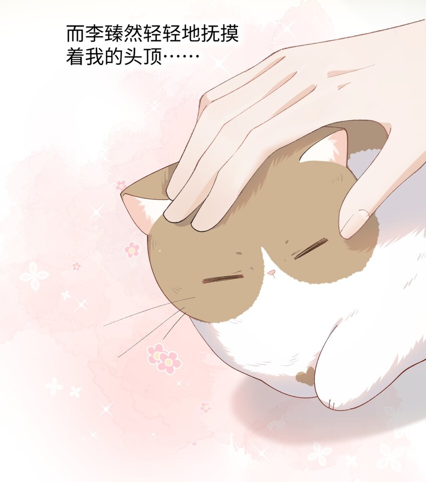 014 躲开了！？？？-第14话