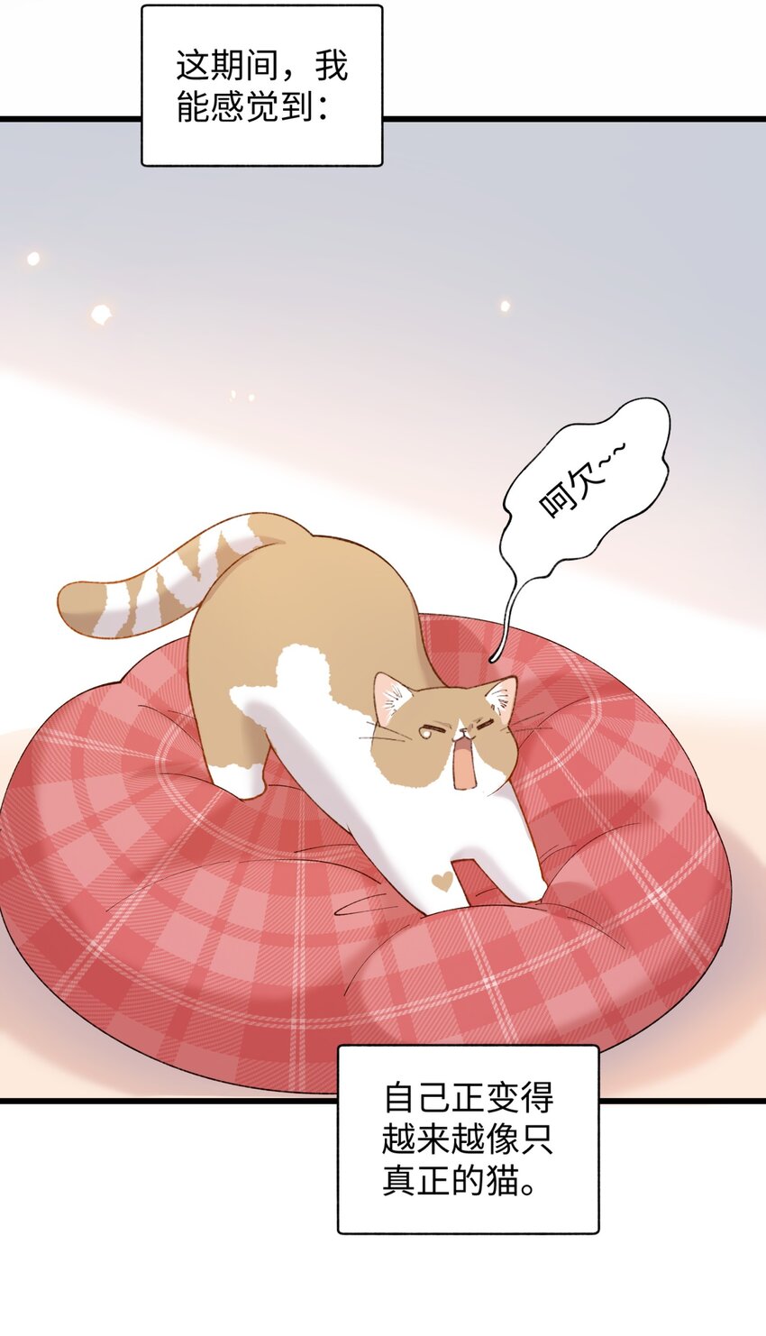 018 逮到你了！-第18话