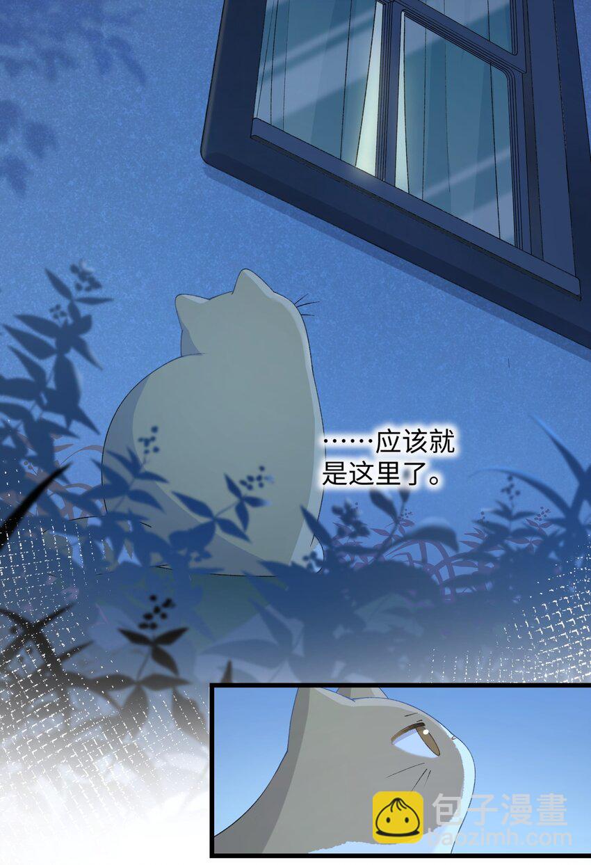 020 祸不单行 ！-第20话