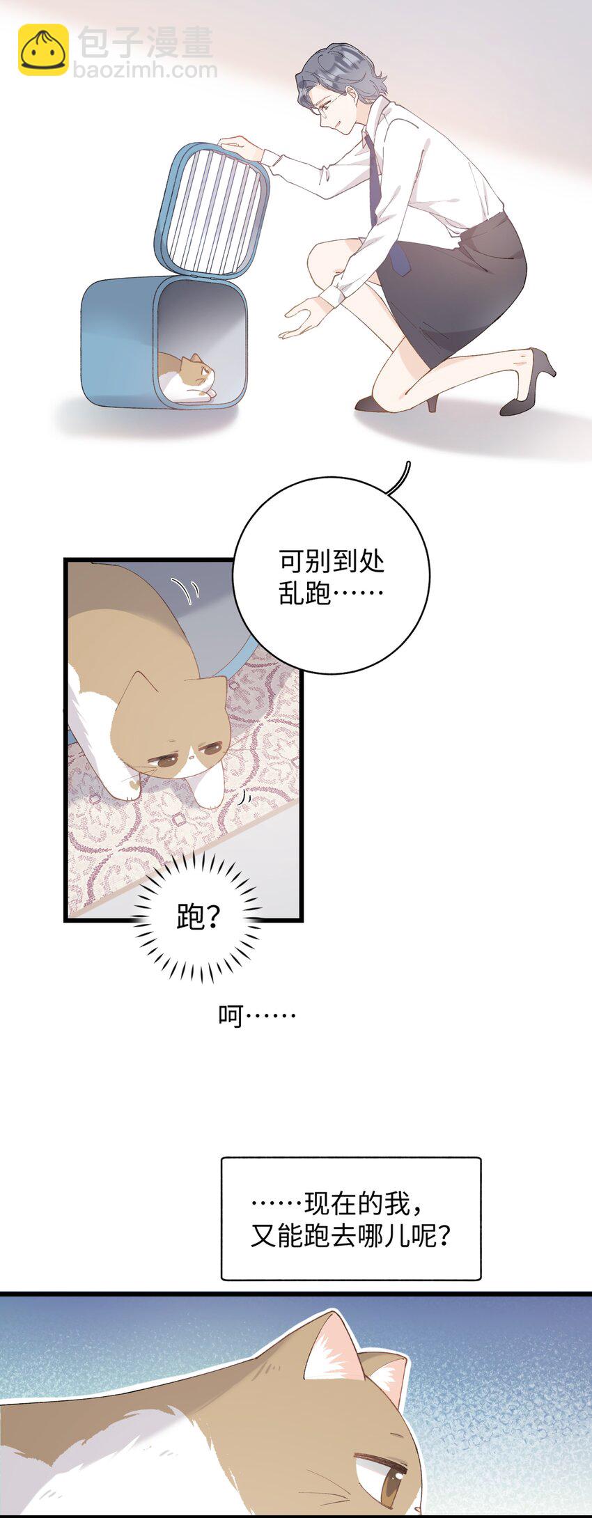 加菲猫复仇记 - 022 梦幻开局 - 1