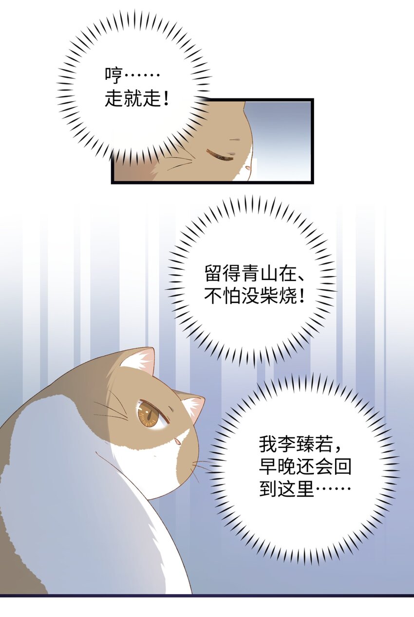 加菲貓復仇記 - 022 夢幻開局 - 1