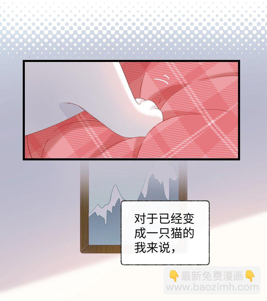 008 白白胖胖，充满希望(1/2)-第8话