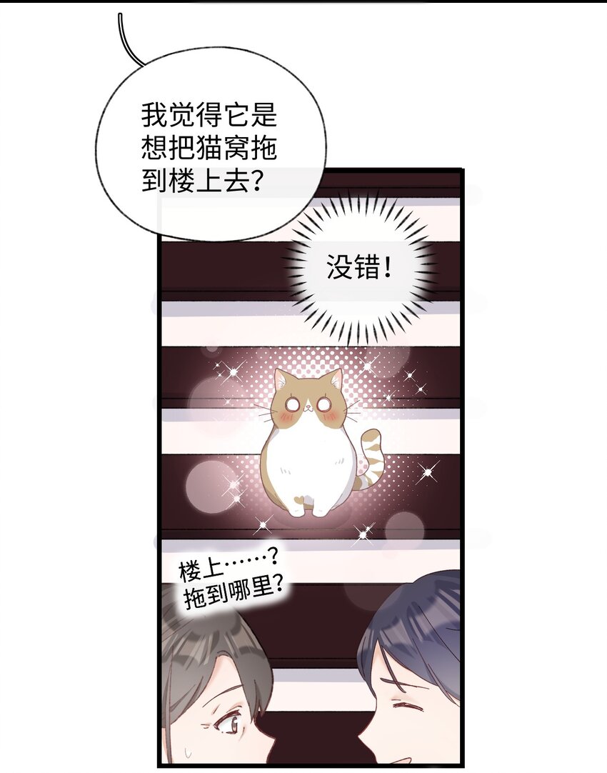 008 白白胖胖，充满希望(1/2)-第8话