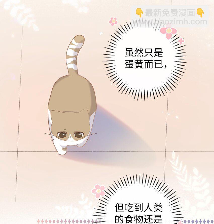 008 白白胖胖，充满希望(1/2)-第8话