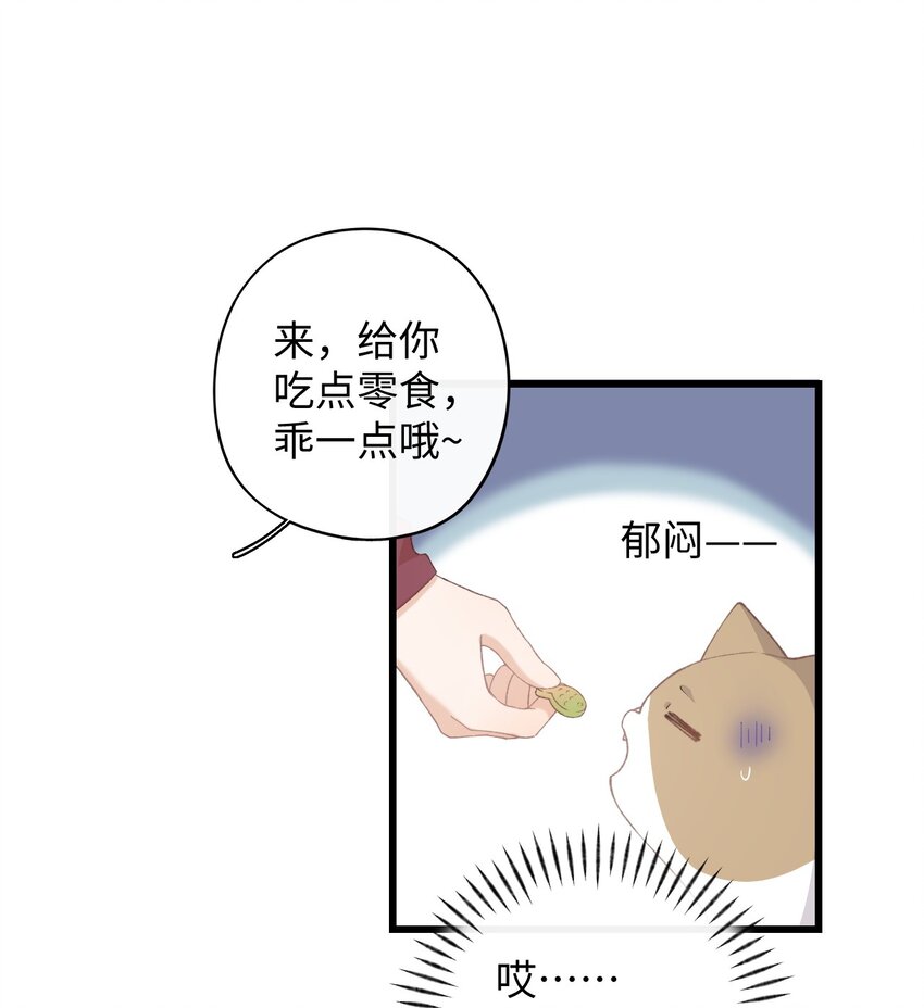 008 白白胖胖，充满希望(1/2)-第8话