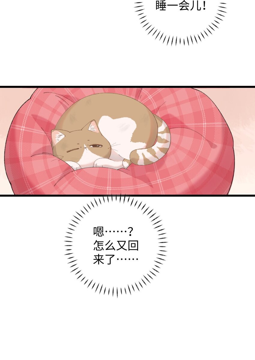 10 脏脏猫计划通-第10话