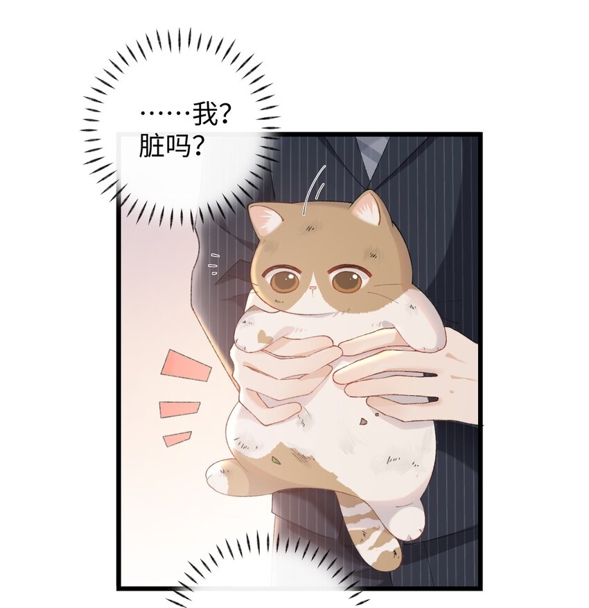 10 脏脏猫计划通-第10话