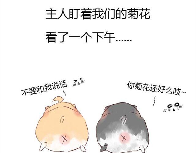 第2话 可怜的孩子们-第2话