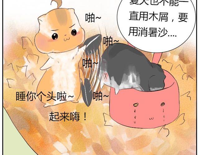 第2话 可怜的孩子们-第2话