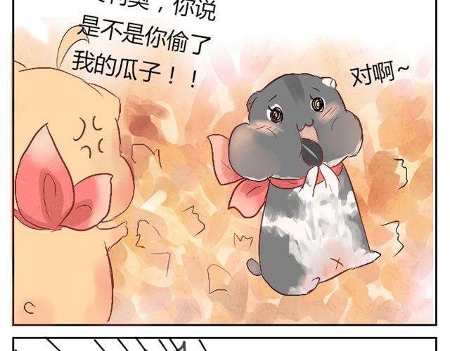 第4话 瓜子和我哪个更重要-第4话