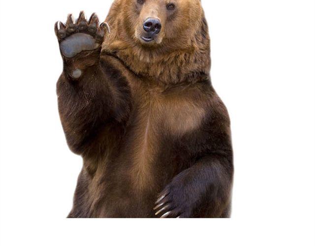 第6话 新来了两只小孩儿-第6话