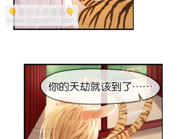 第1＋2话 捡到一只很萌的狐狸？(1/3)-第2话