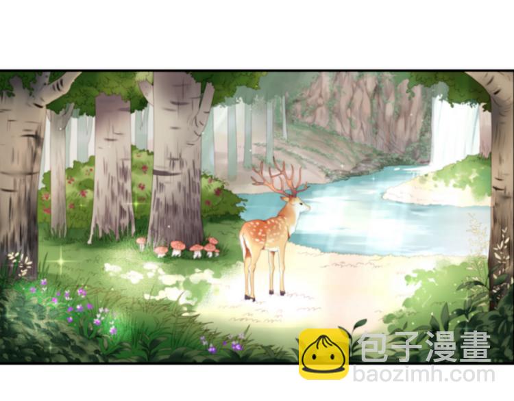 第1＋2话 捡到一只很萌的狐狸？(1/3)-第2话