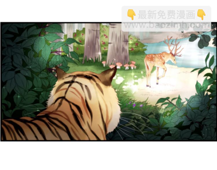 第1＋2话 捡到一只很萌的狐狸？(1/3)-第2话