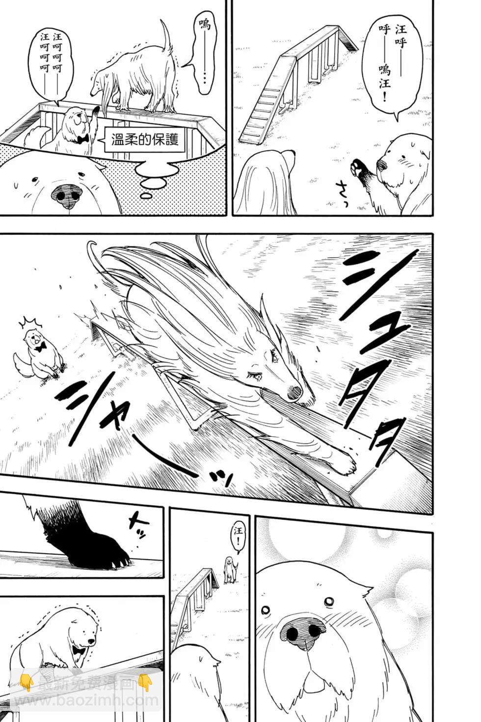 間諜過家家 - 第10卷(4/4) - 5