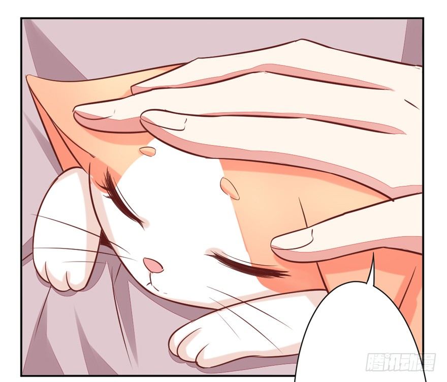 三个愿望(1/2)-第14话