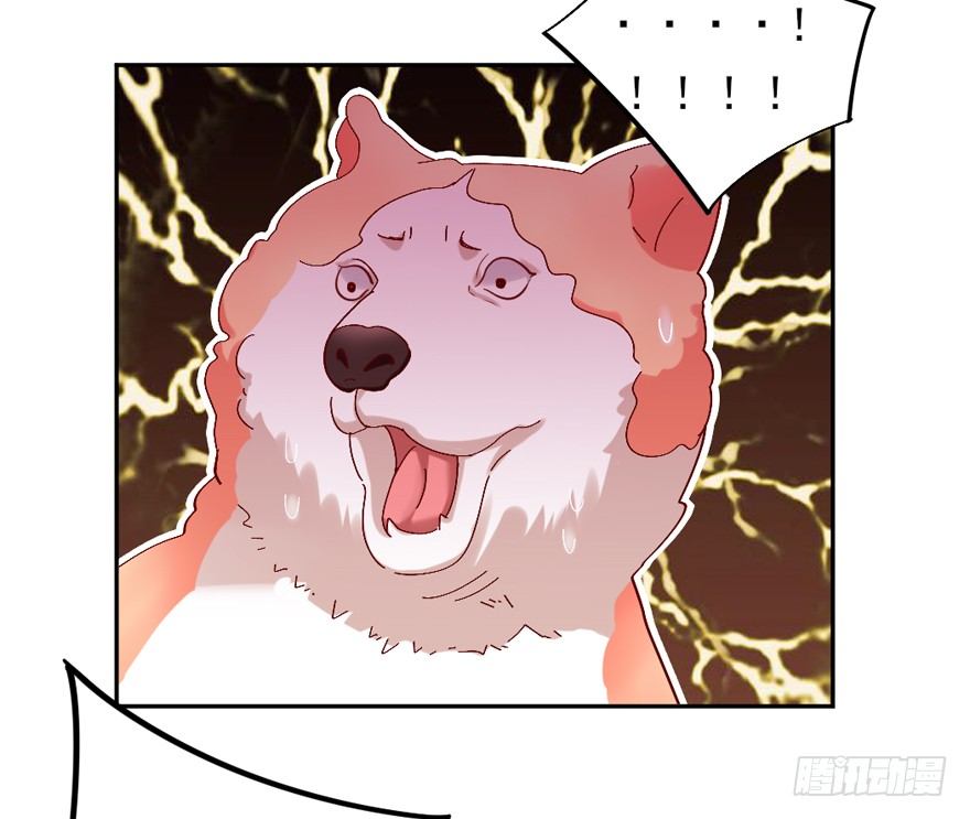 大导演！-第22话