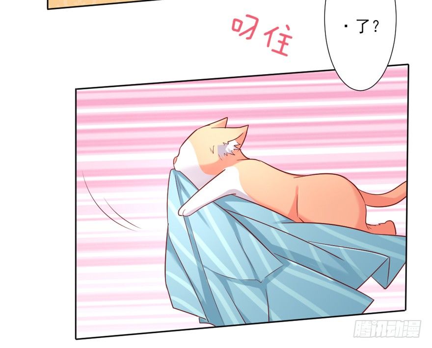 漏洞百出-第24话