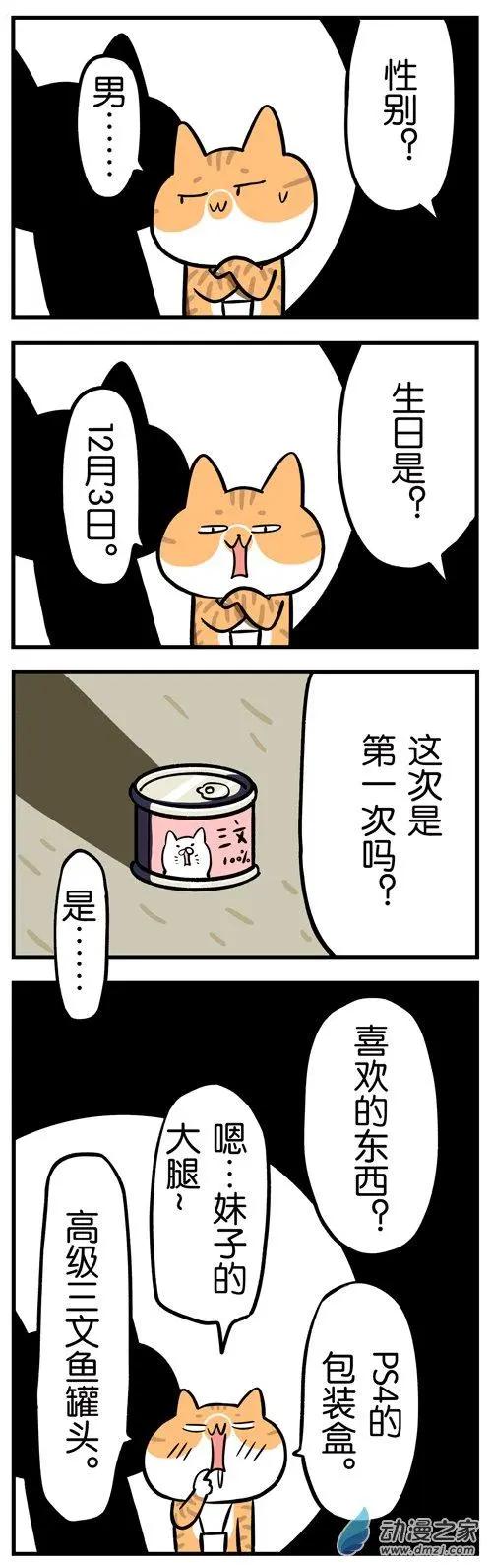 第10回 姜哥遭受残酷审问！到底发生了什么？-第10话