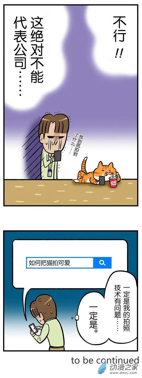 第12回 猫的颜值，由你的摄影技术决定-第12话