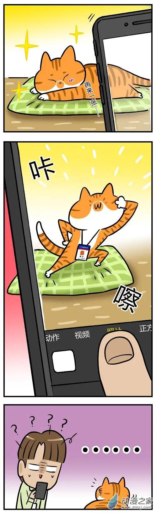 第14回 猫睡着了就能为所欲为？做梦！-第14话