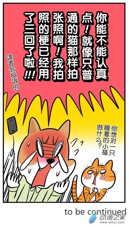 第14回 猫睡着了就能为所欲为？做梦！-第14话